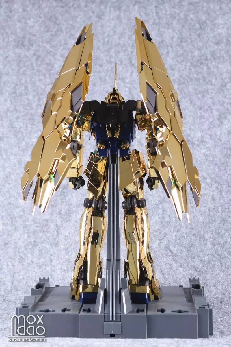 最新官网入口- 风云突变青龙现 